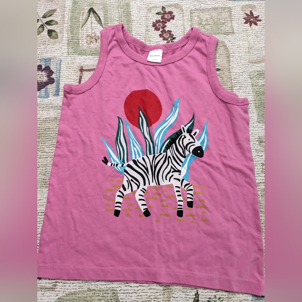 Hanna Andersson top size 12